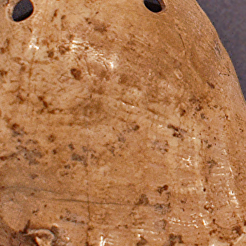 Découverte de la préhistoire - PONTARLIER