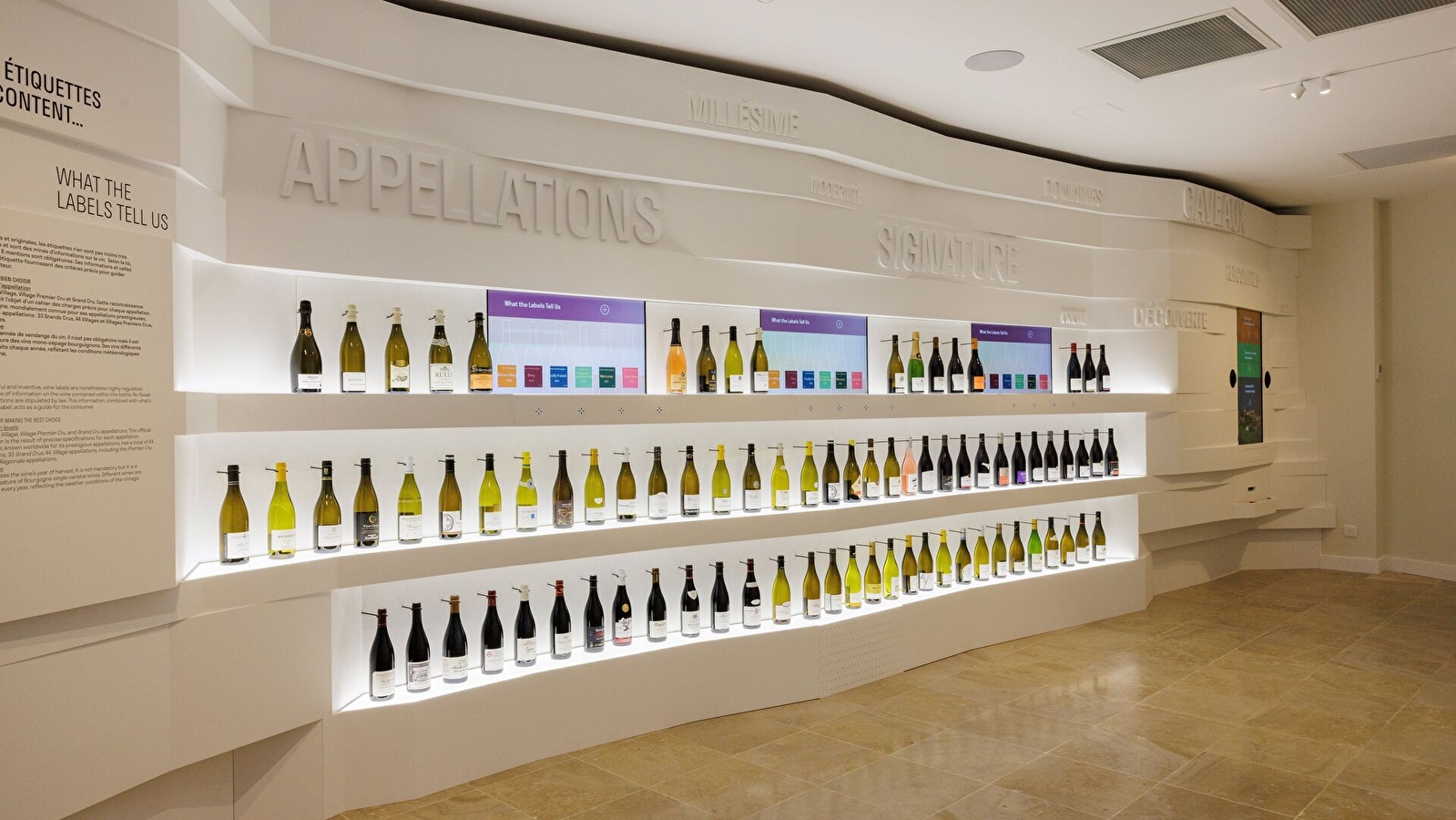 Découvrir les vins du Sud Bourgogne