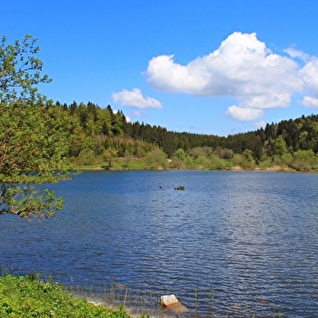 Parcours Gravel 16 bleu - De combes en combes - Espace FFC Ain Forestière - BRENOD