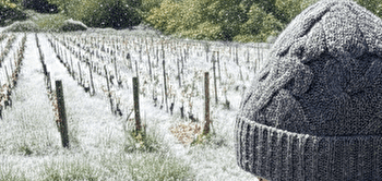 Rallye faune : ouvrez grand les yeux ! - SOLUTRE-POUILLY