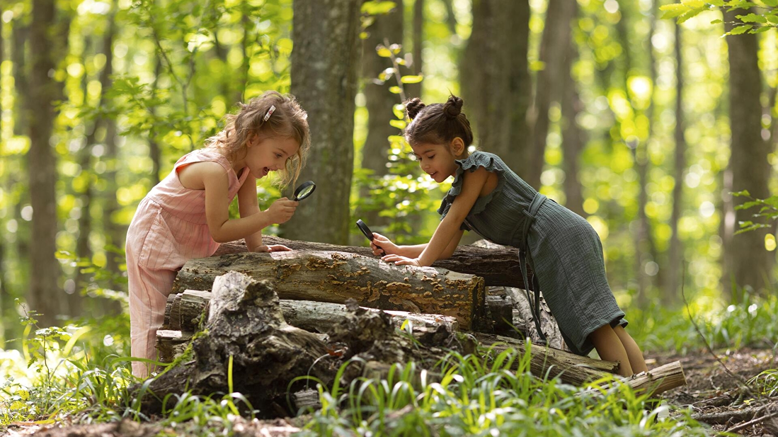 Visite animée de la ferme du Château