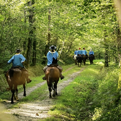 La Route Européenne d'Artagnan