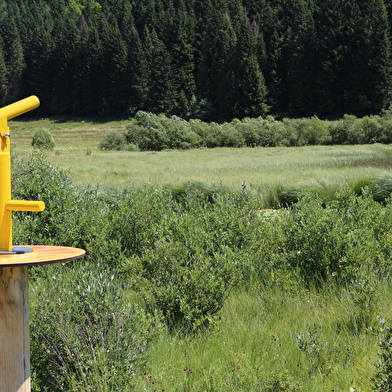Sentier du Lac de Lamoura