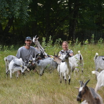 Chèvrerie des Lorraines - AMBIEVILLERS