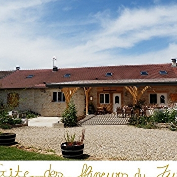 Les Flâneurs du Jura, Côté familial - 10pers. - VILLETTE-LES-ARBOIS