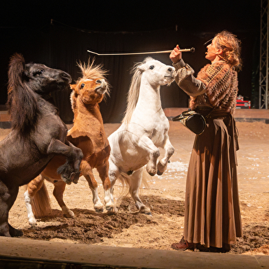 Spectacle Équestre de Noël