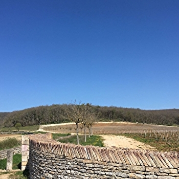 DOMAINE D'AUBIGNY - ALUZE