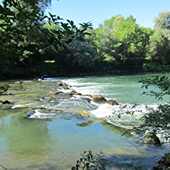 Zone humide de Chissey-sur-Loue - CHISSEY-SUR-LOUE