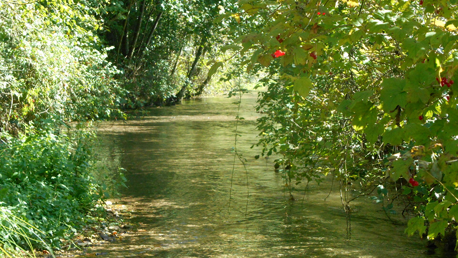 Balades naturalistes sur la nappe de Dijon Sud et de la Cent Fonts - Parcours 1 (Fénay-Saulon-la-Rue) - ENS2026