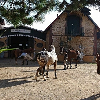 Domaine Équestre - Haras de Villechétive - VILLECHETIVE