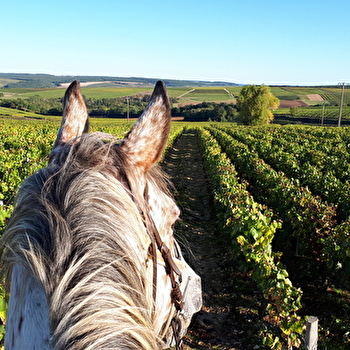 À Cheval dans l'Yonne - LIGNORELLES