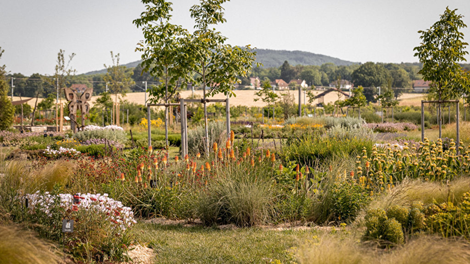 Atelier: La découverte des écosystèmes du Doubs à la Saline royale