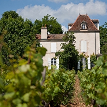 Senard - ALOXE-CORTON