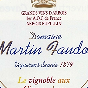Domaine Martin Faudot & Fils  - MESNAY