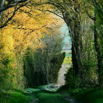 À cheval sur le Roichat et la Montagne des Alouettes - LAINSECQ