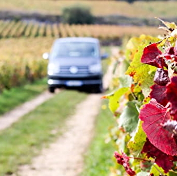 Safari Tours - Tour n°4 Dégustation Domaines & Château - BEAUNE