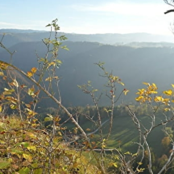 Belvédère la Cendrée - CHARQUEMONT