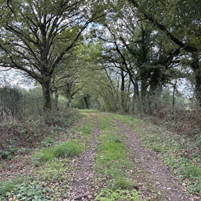 Balade Verte - Balade entre prairie, forêt et rivière (VSG 2)