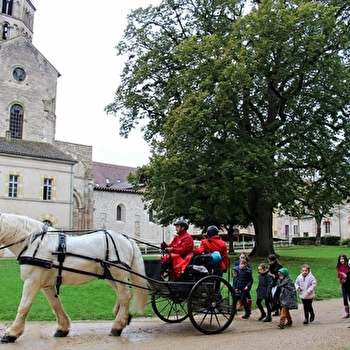 Halloween au Haras - CLUNY