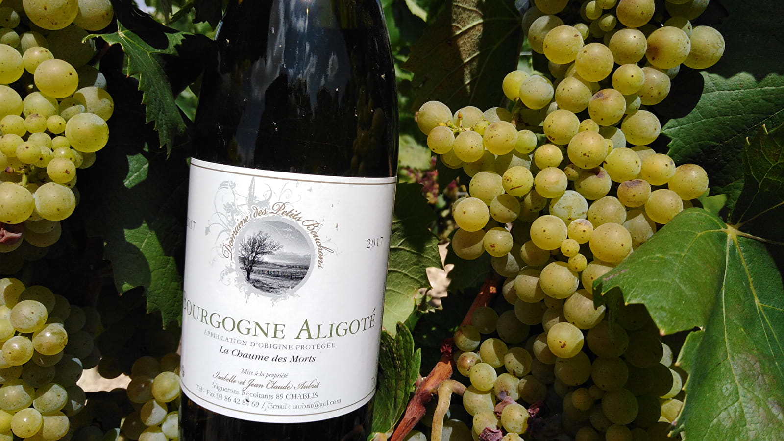 Domaine des Petits Bouchons