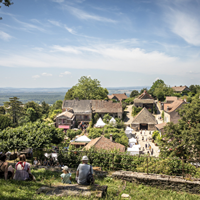 Château de Brancion