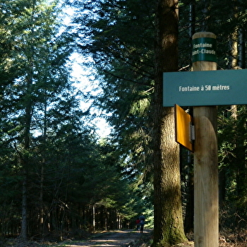 Circuit de la Barbarandière  - COLOMBIER-EN-BRIONNAIS