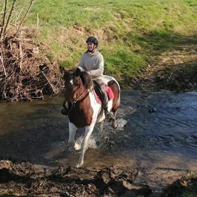 Ferme équestre du Berger