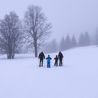 Sentier raquettes la Gelinotte