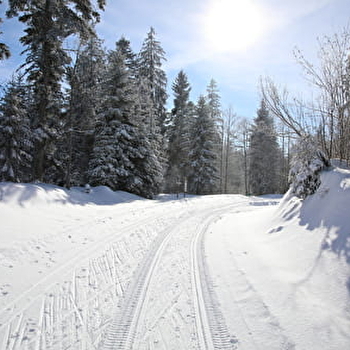 Site Nordique de la Haute-Joux - ARSURE-ARSURETTE
