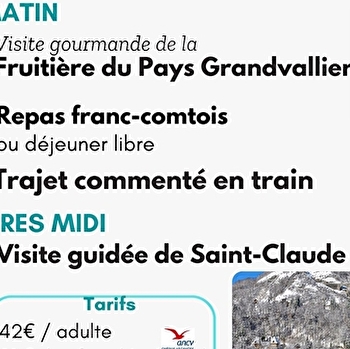 Excursion hivernale sur la Ligne des Hirondelles - SAINT-LAURENT-EN-GRANDVAUX