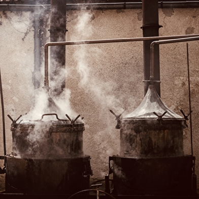 La Sauvage - Distillerie de Vézelay