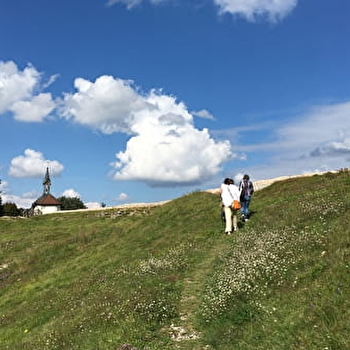 Circuit pédestre n°1 : Mandeure - MANDEURE