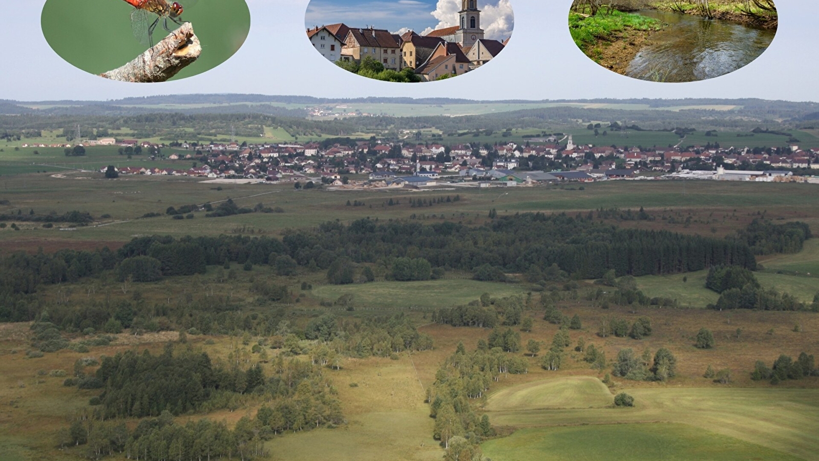 Conférence « Biodiversité, eau, alimentation, santé, climat : tout est lié (y compris dans le Haut-Doubs) ! 