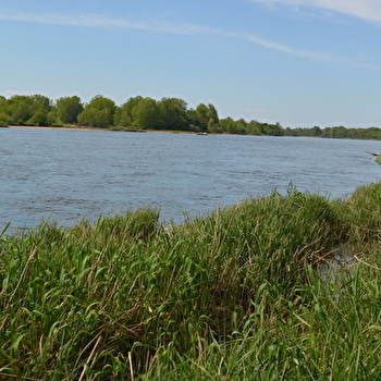De l'eau et des arbres - LA CHARITE-SUR-LOIRE