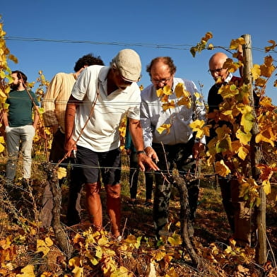 Domaine François et Blandine Rocault – « vis ma vigne » : l’éveil des sens dans les Hautes-Côtes de Beaune