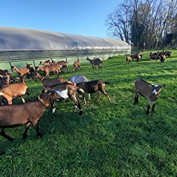 La Chèvre'rit d'Amandine - GARCHY