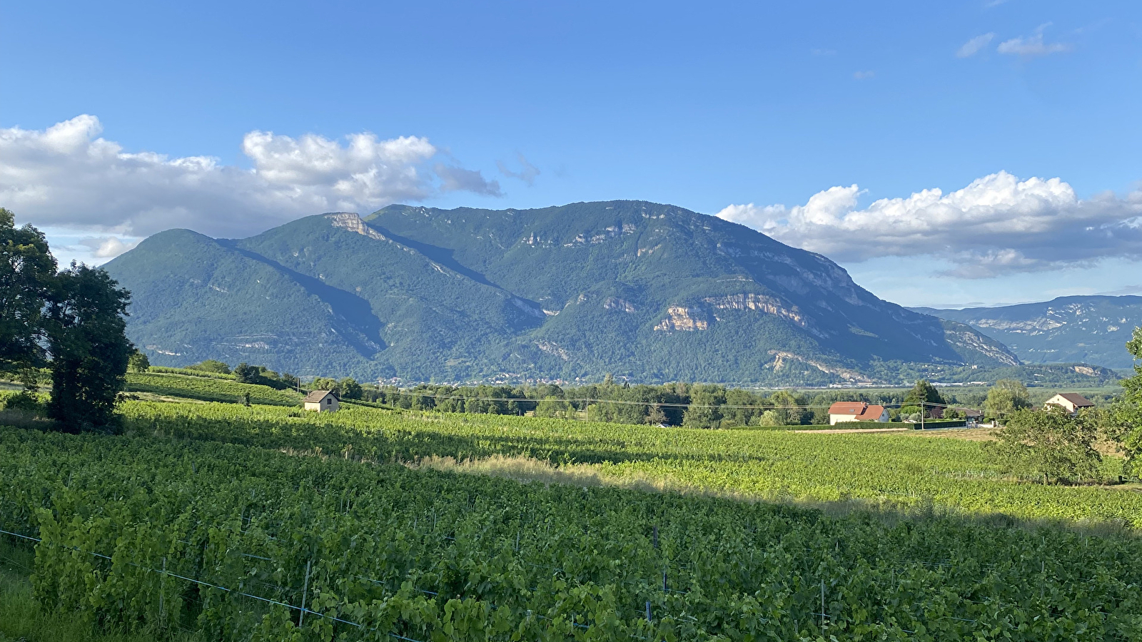 Circuit vélo : côteaux du Bugey et Plateau d'Hauteville