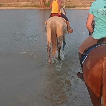 En EQUI-LIBRE - Balade à cheval autour de Beaune - BLIGNY LES BEAUNE