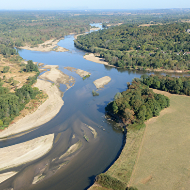 Balade famille : Sentier-nature du Passeur du Bec d'Allier