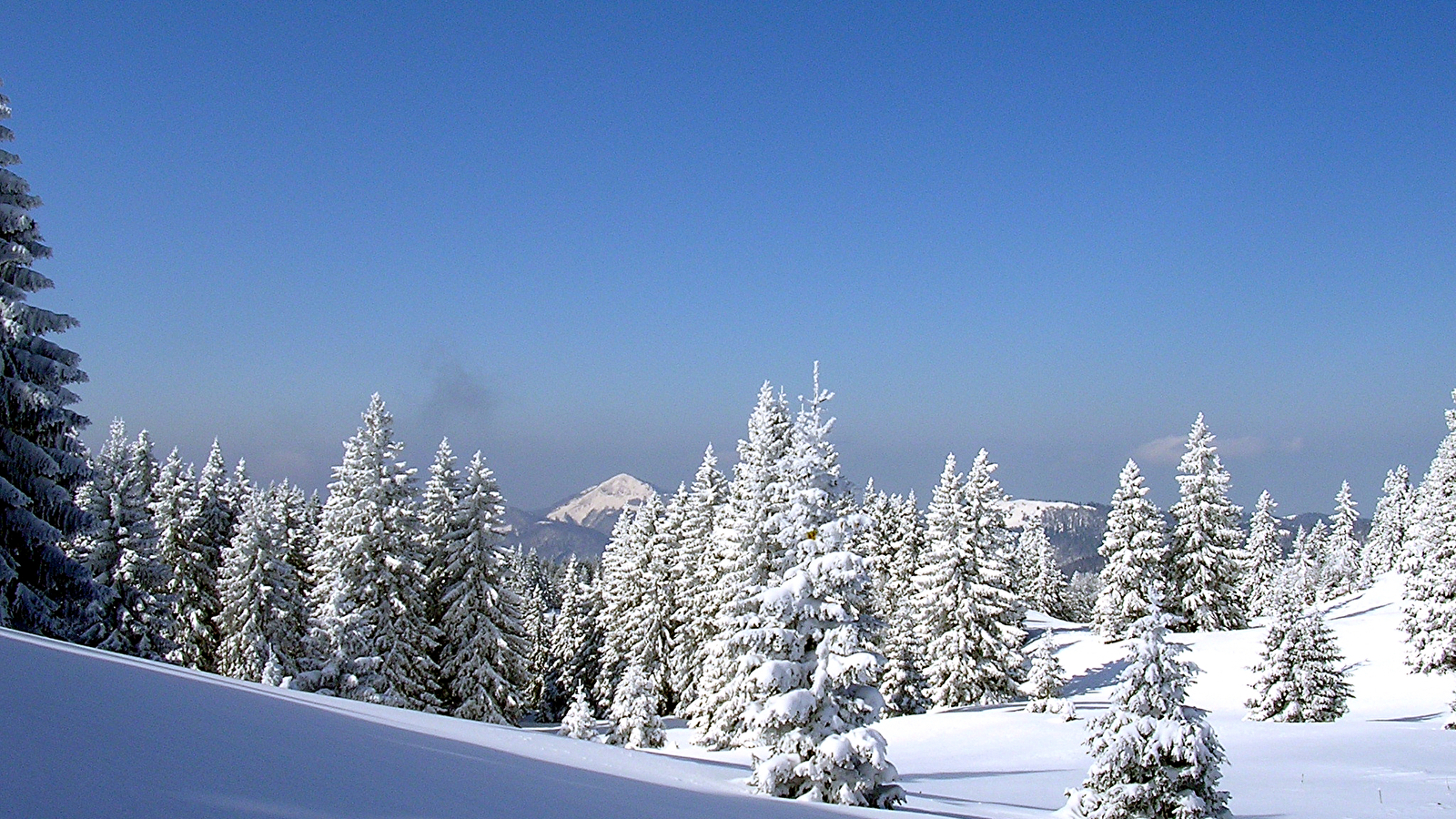 Site Nordique du Haut Saugeais Blanc