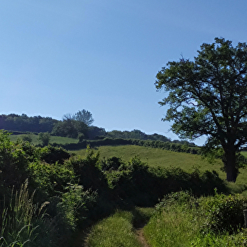Le sentier de la Maison des Hommes et des Paysages - SAINT-BRISSON