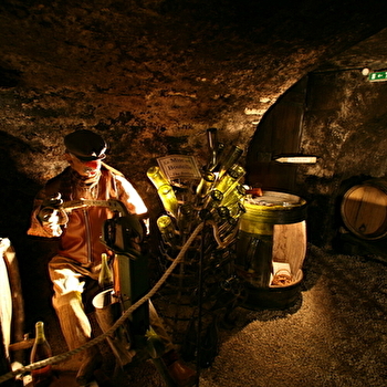 OenoCentre Ampélopsis  - MASSINGY