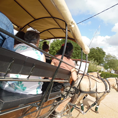 Domaine de la Loge - École d'équitation