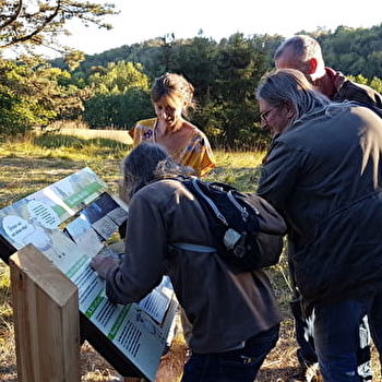 Sentier de découverte de Montgin - Les pelouses sèches de Champlitte - CHAMPLITTE