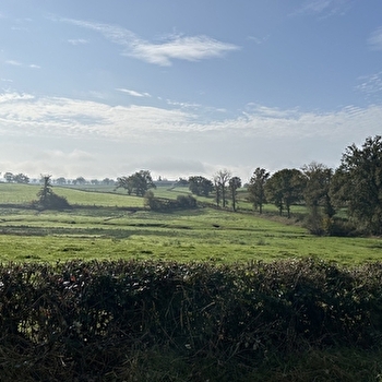 Balade Verte - A travers bois (PLM 6) - NOCHIZE