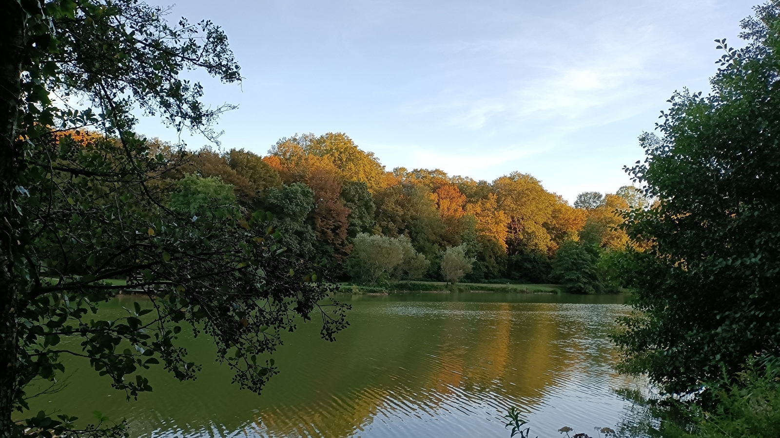 Les étangs des Princes