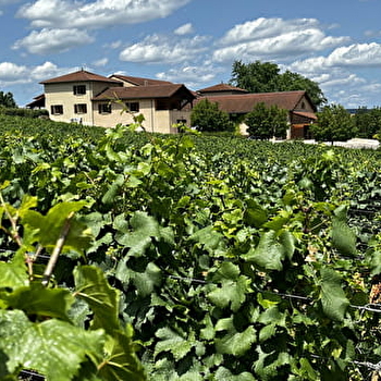 Domaine de la Croix Senaillet - Martin Richard et Stéphane - DAVAYÉ