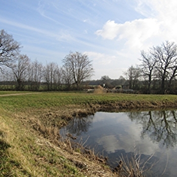 Aire de pique-nique de l'Etang Neuf - ROGNY-LES-SEPT-ECLUSES