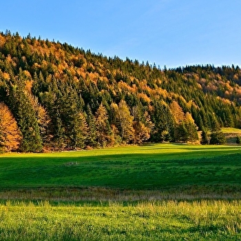 Fontaine Noire - 64B - LES NANS