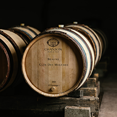 Domaine Chanson - Visite & Dégustation